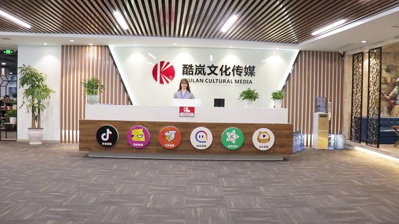 高端TVC广告片制作：揭秘背后的制作工艺与行业趋势